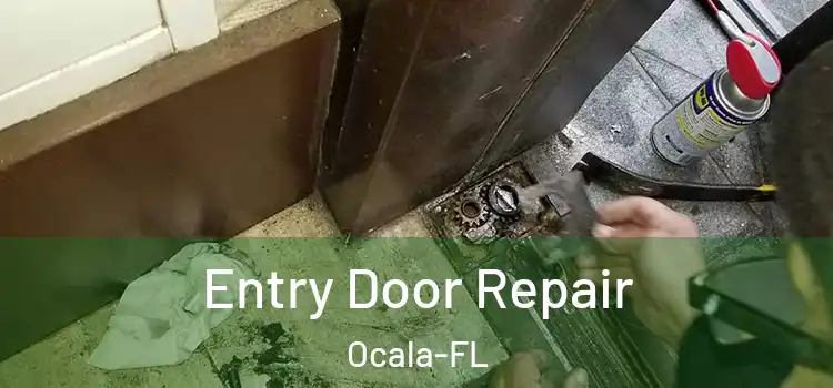  Entry Door Repair Ocala-FL
